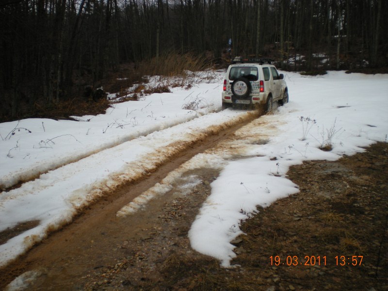 DSCN1003.jpg