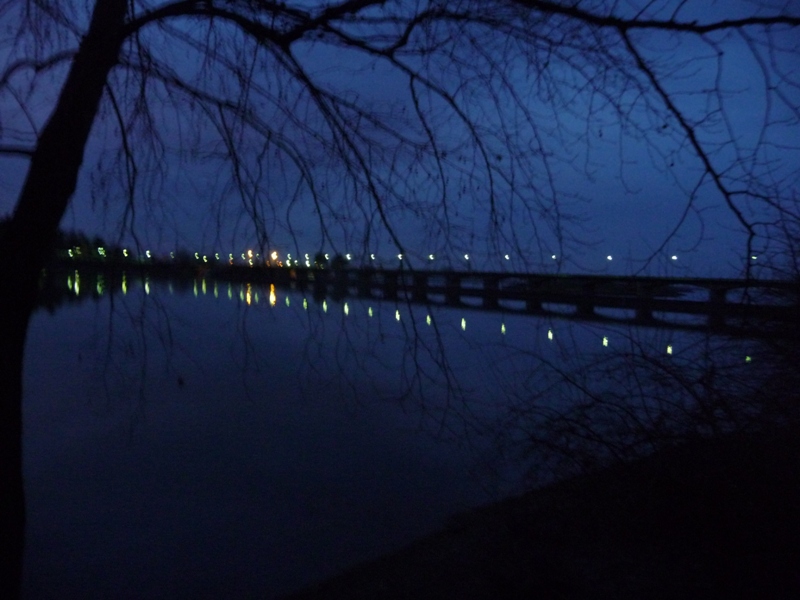 P1170196.JPG
