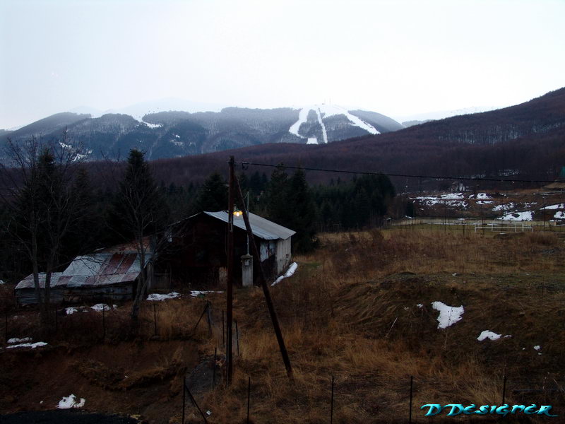 p01.jpg