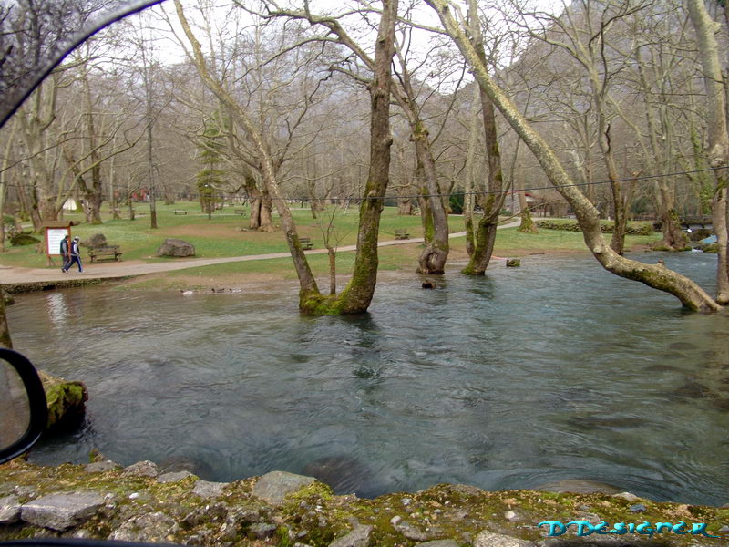 p11.jpg