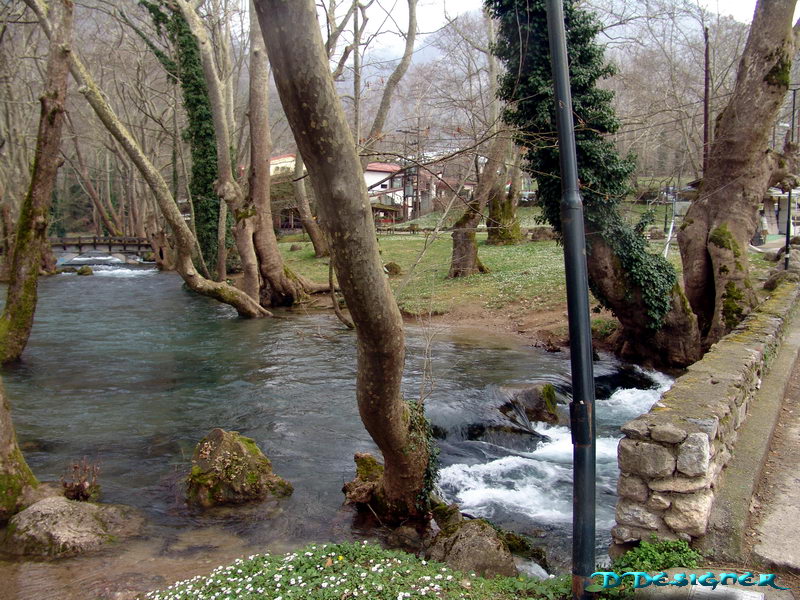 p14.jpg