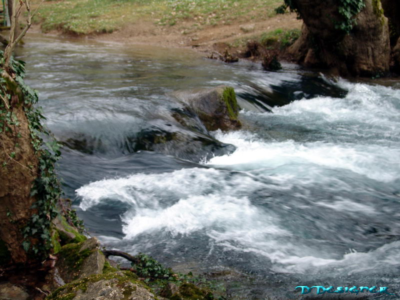 p15.jpg