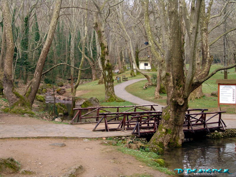 p16.jpg
