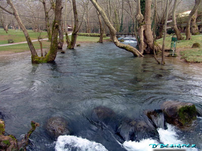 p17.jpg