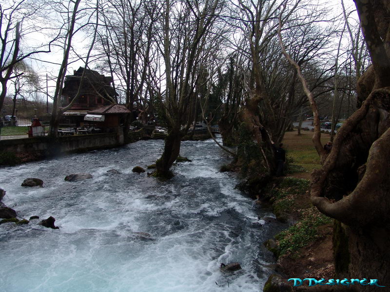 p20.jpg