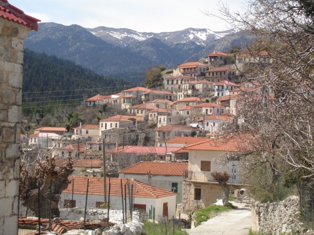 DSC01133.jpg