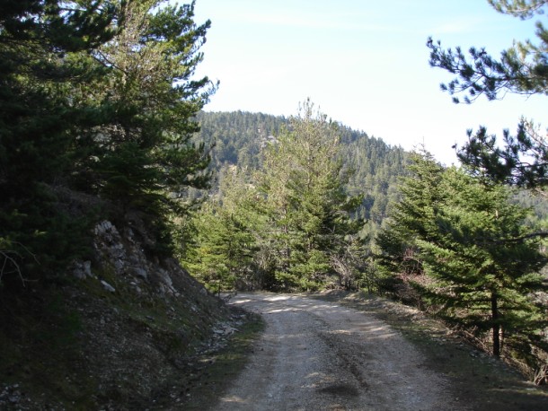 DSC01149.jpg