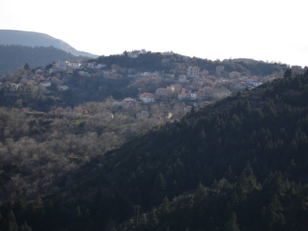 DSC01154.jpg
