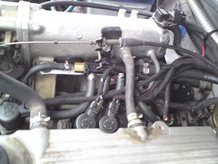 DSC00433 (715 x 536).jpg