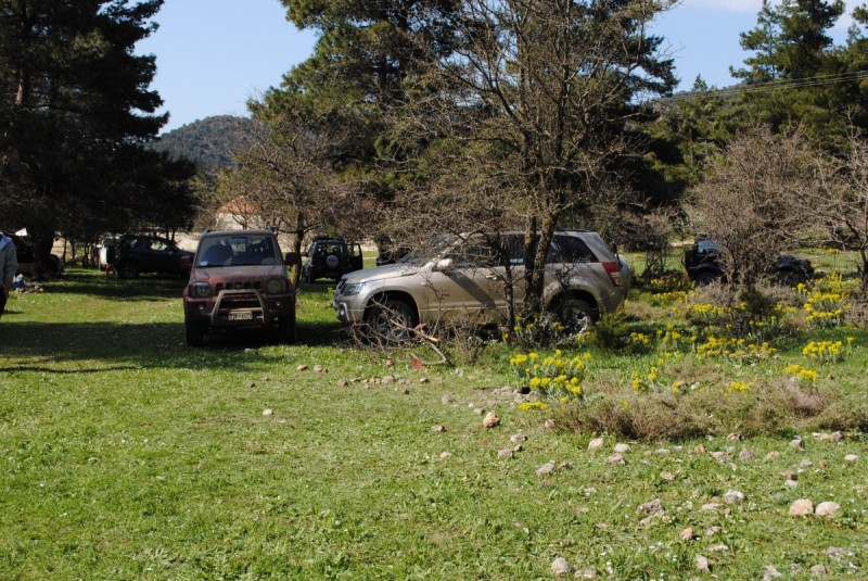 DSC_7503.jpg
