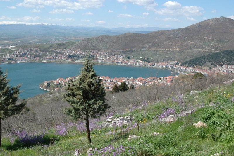 DSC_0012.jpg