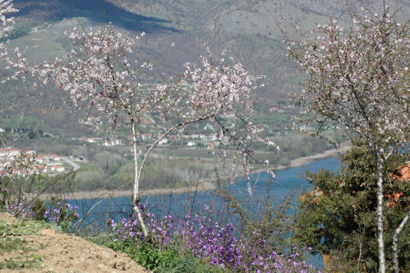DSC_0018.jpg