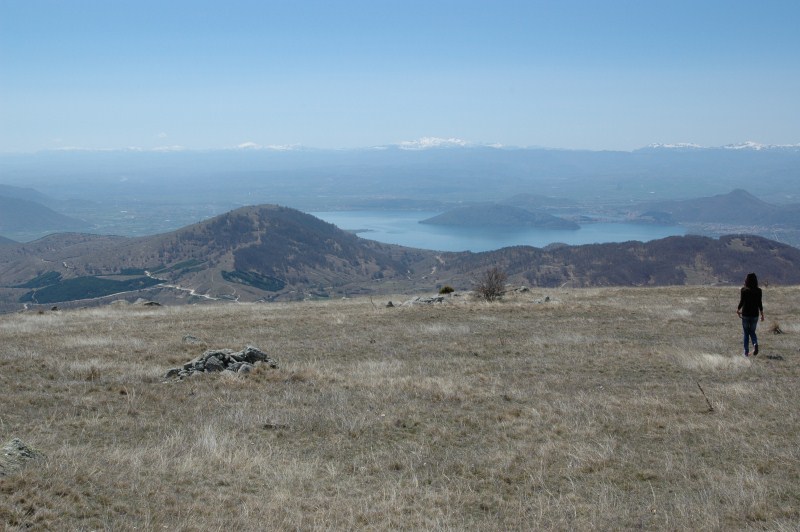 DSC_0041.jpg