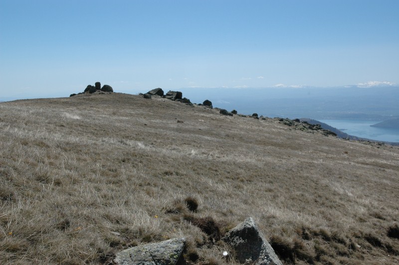 DSC_0070.jpg
