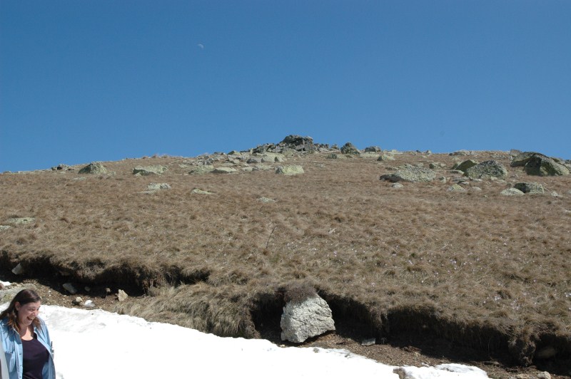 DSC_0077.jpg