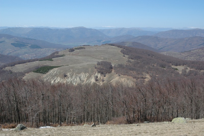 DSC_0085.jpg