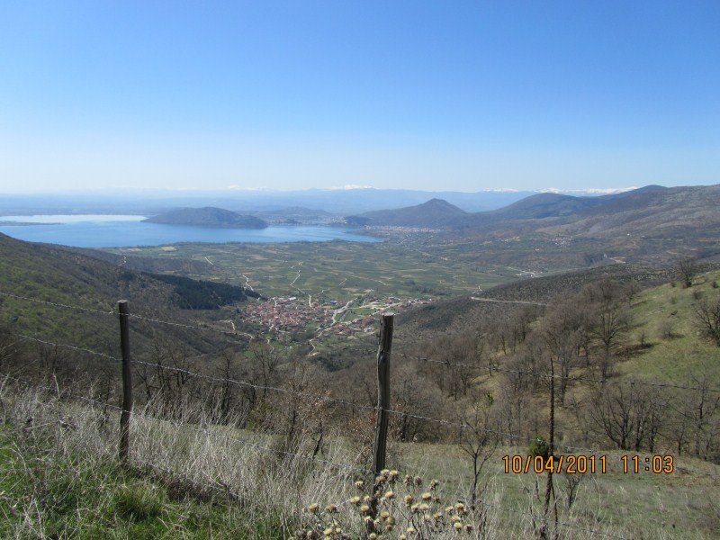 IMG_0268.jpg