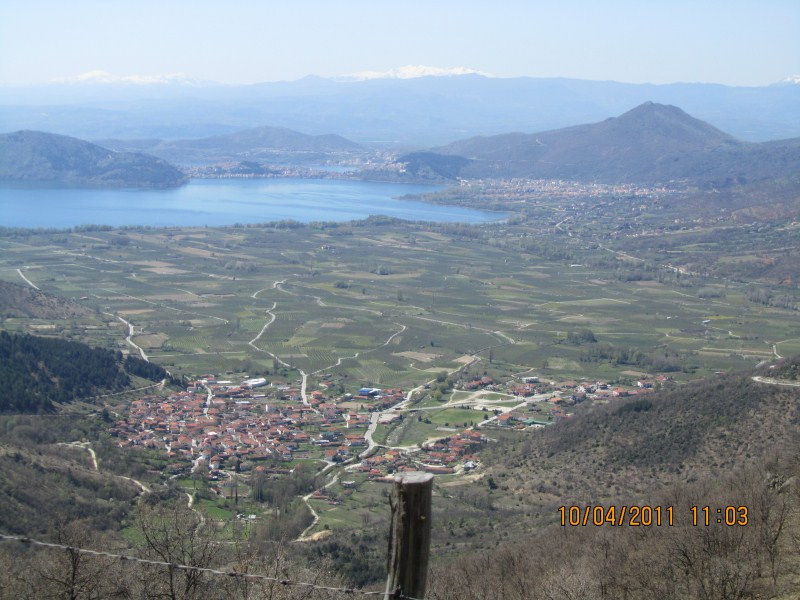 IMG_0270.jpg