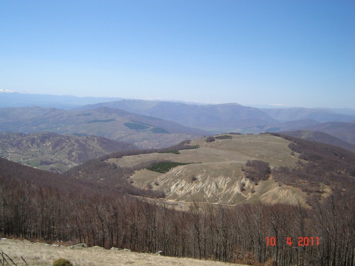 DSC03367 (715 x 536).jpg