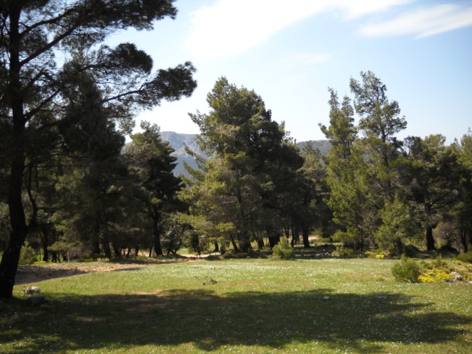 DSCN0281.jpg