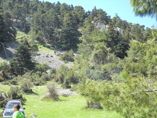 DSCN0269.jpg