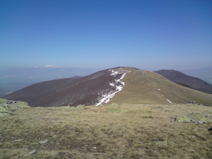 DSC00467 (715 x 536).jpg