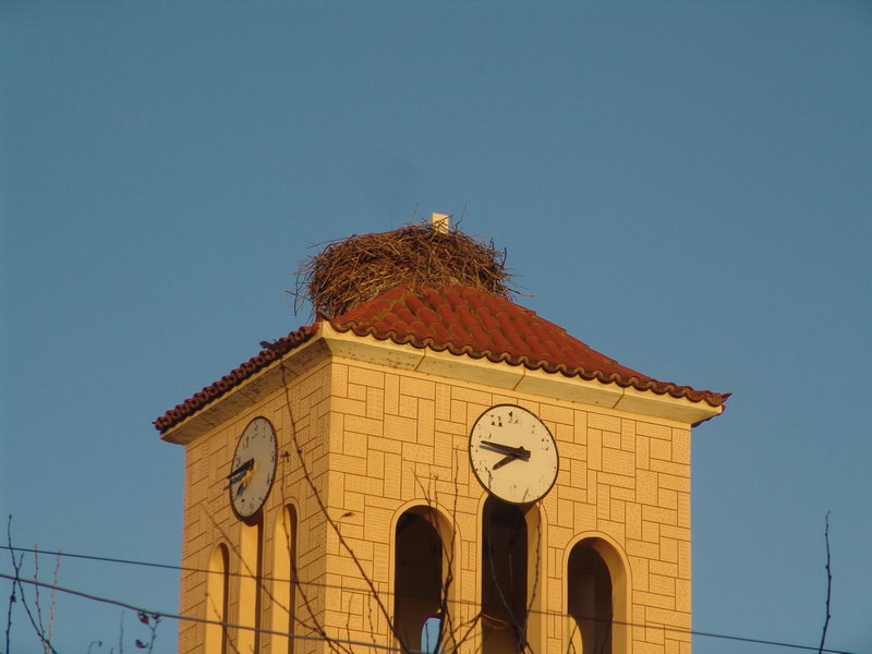day1_st1_p05.jpg
