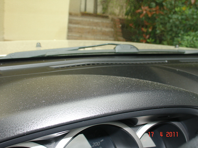 DSC03565.JPG