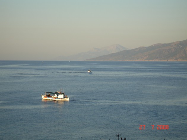 DSC00394.jpg