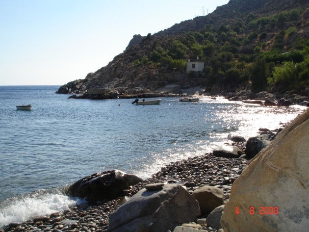 DSC00408.jpg