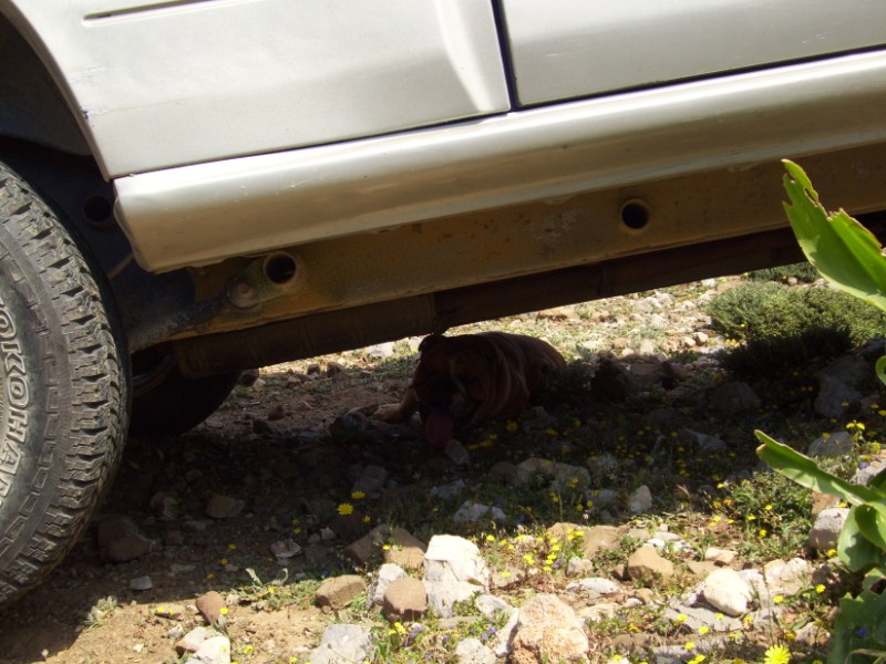 100_3515.jpg