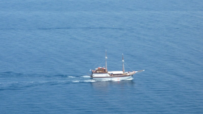 P1000414.jpg