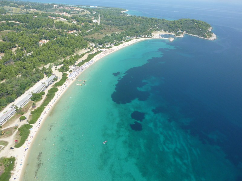 P1000436.jpg