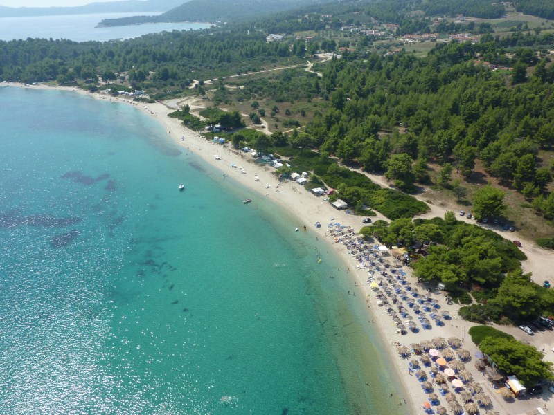 P1000441.jpg