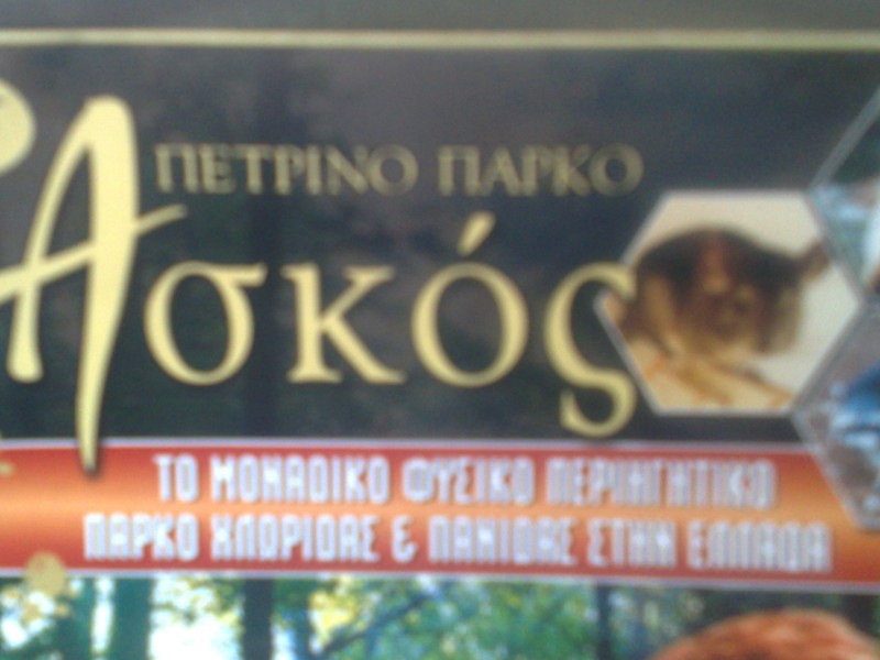 23042011255.jpg