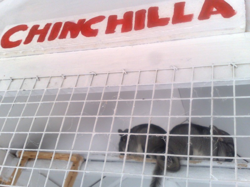 23042011227.jpg