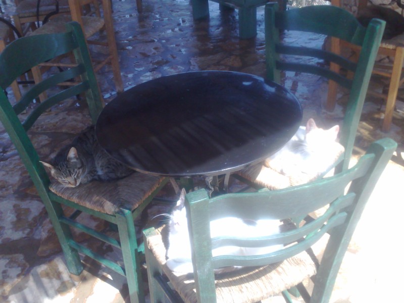 23042011228.jpg