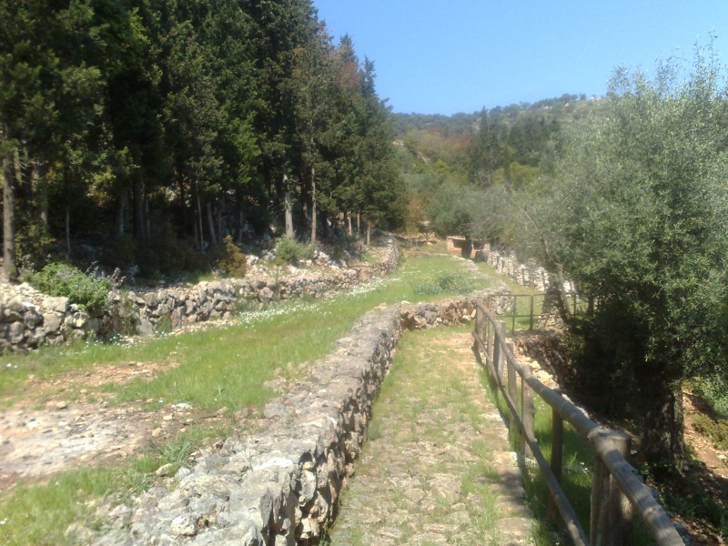 23042011234.jpg