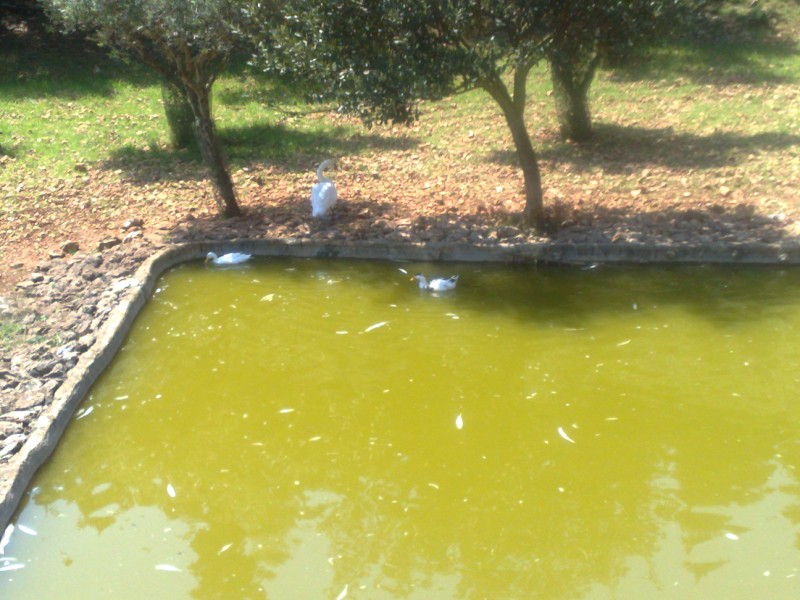 23042011252.jpg