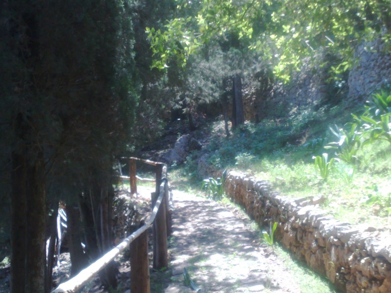 23042011253.jpg