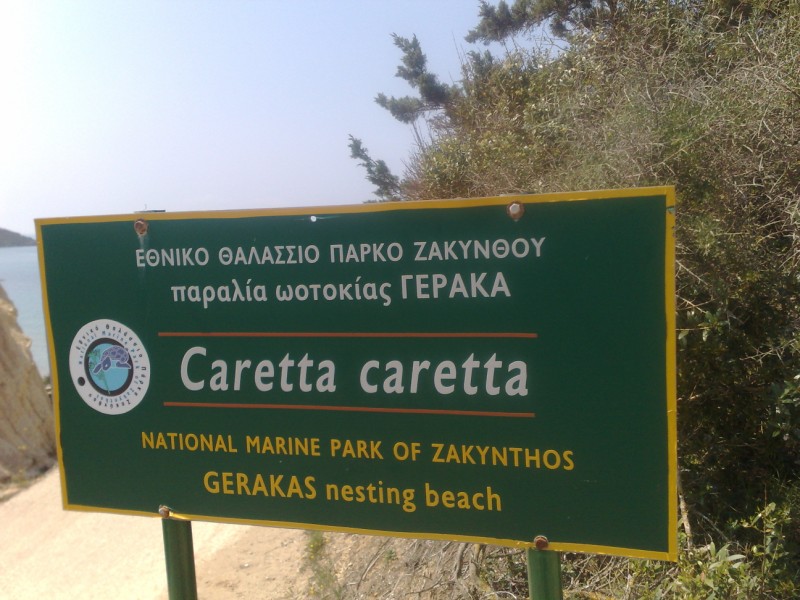 24042011291.jpg