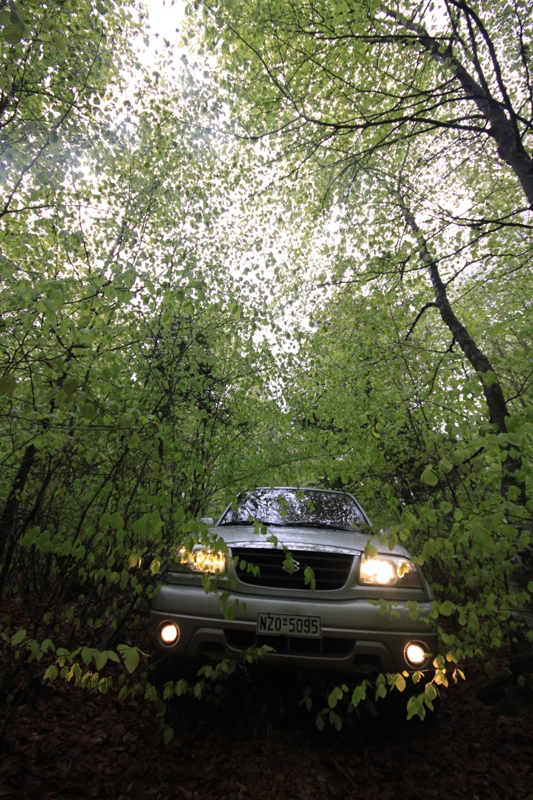 2011_04_28_3340.JPG