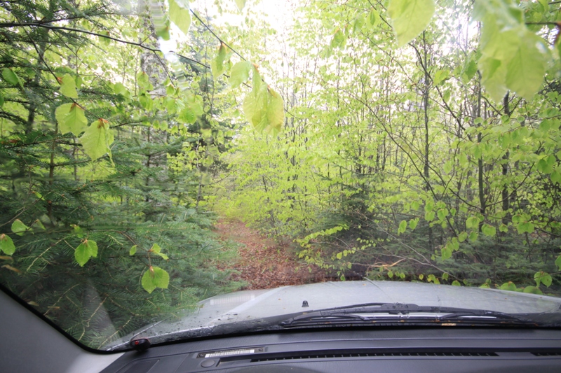 2011_04_28_3350.JPG