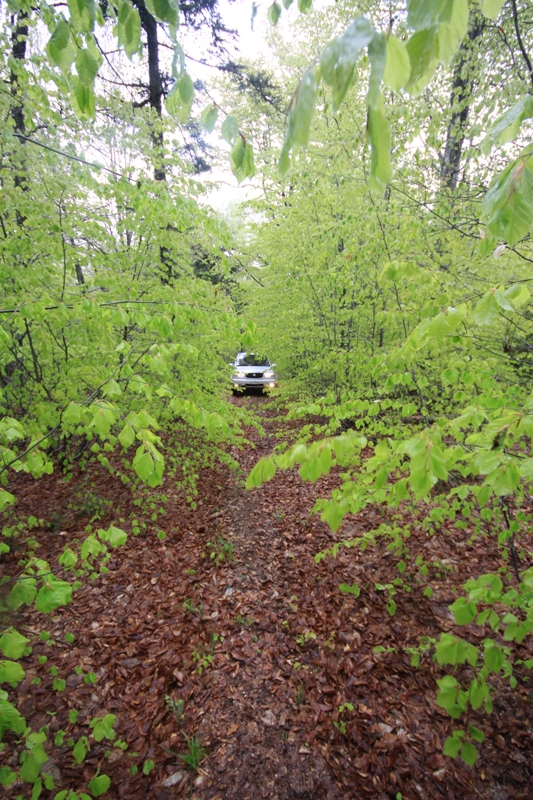 2011_04_28_3359.JPG