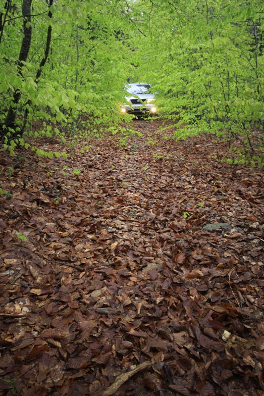 2011_04_28_3361.JPG