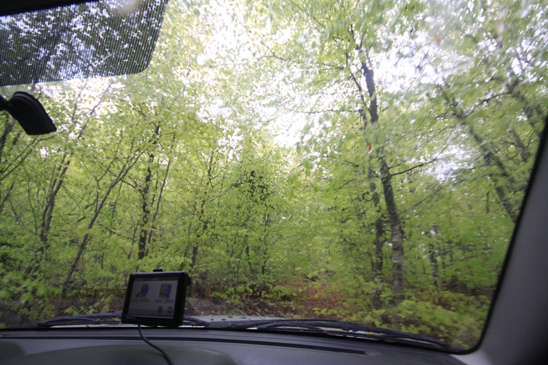 2011_04_28_3388.JPG