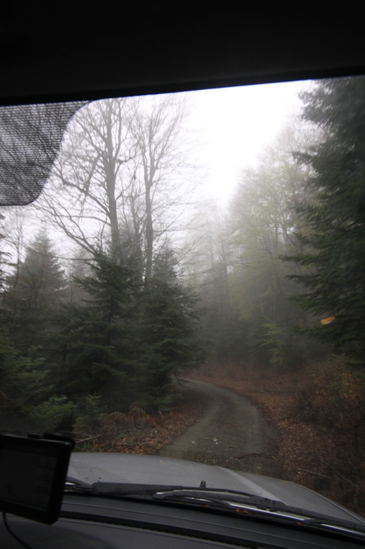 2011_04_28_3407.JPG