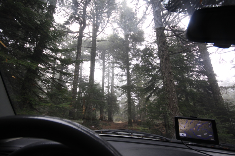 2011_04_28_3432.JPG