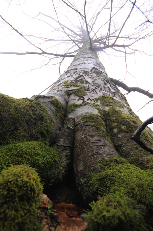 2011_04_28_3470.JPG