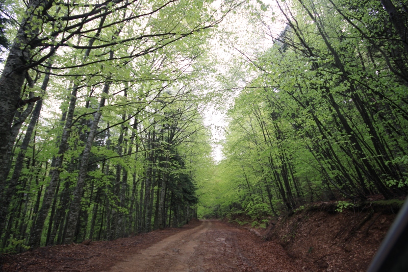 2011_04_28_3474.JPG